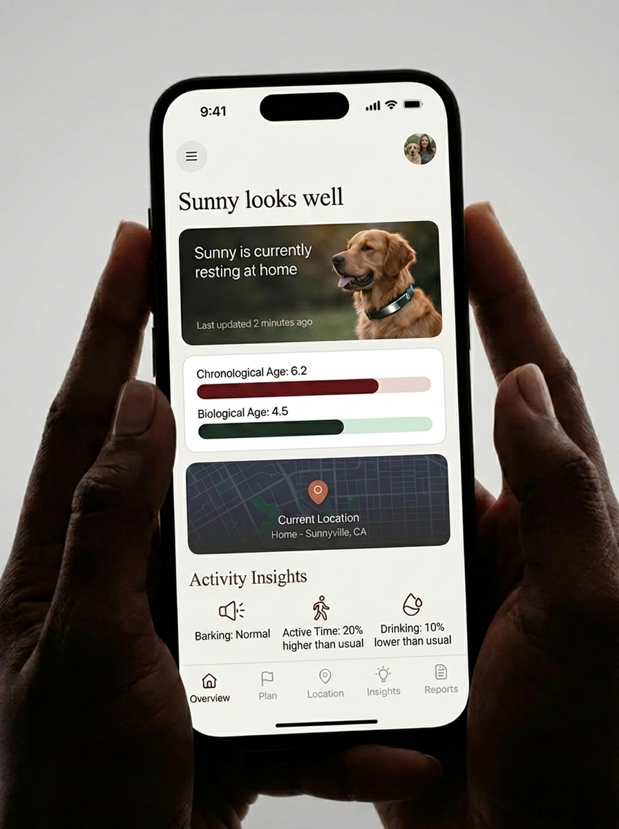 Aroo — Preventive petcare for dogs. Join the waitlist.